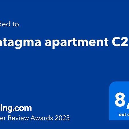 Syntagma Apartment C2 Athen Eksteriør billede